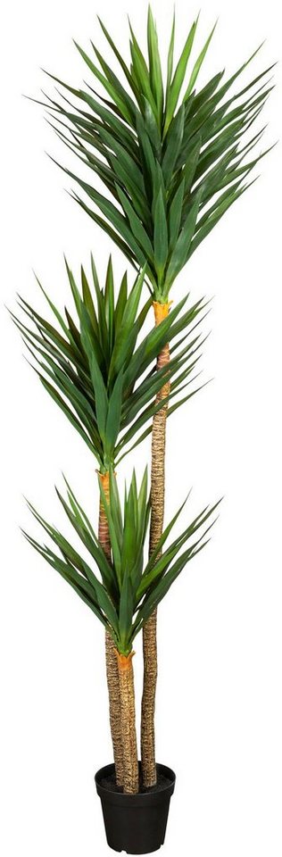 Künstliche Zimmerpflanze Yucca Yucca, Creativ green, Höhe 250 cm von Creativ green