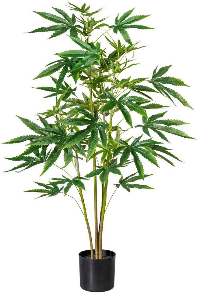 Künstliche Zimmerpflanze Zierhanfpflanze Zierhanf, Creativ green, Höhe 90 cm von Creativ green