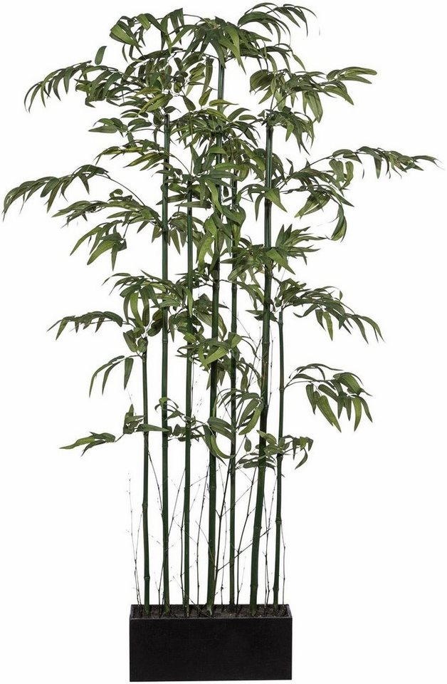 Kunstbambus Bambus Raumteiler, Creativ green, Höhe 150 cm von Creativ green
