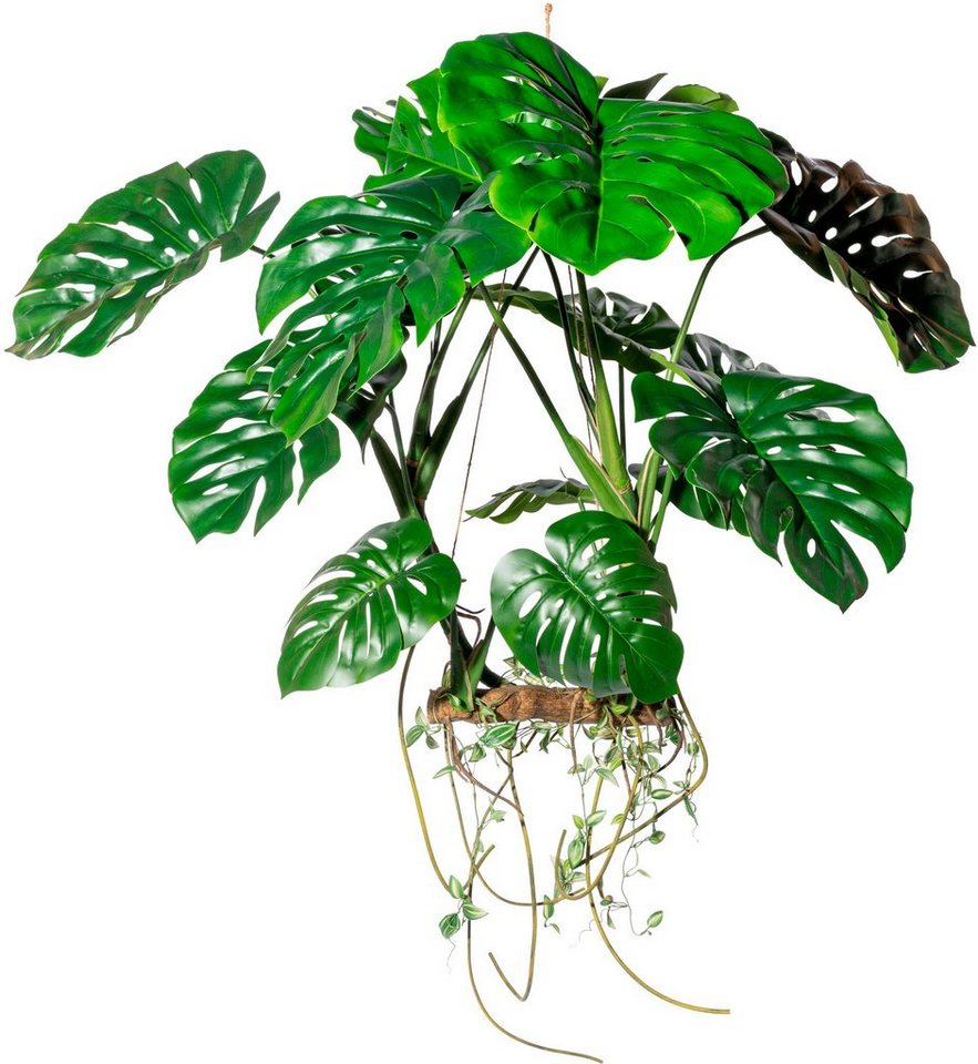 Kunstbaum Hängeobjekt Splitphilodendron Grünpflanze, Creativ green, Höhe 100 cm von Creativ Green