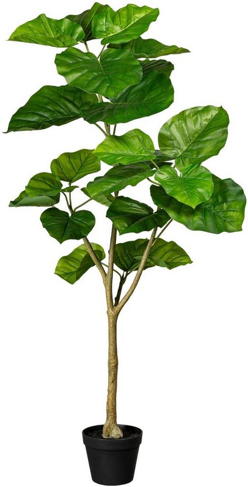 Kunstbaum Ficus umbellata Grünpflanze, Creativ green, Höhe 125 cm von Creativ Green