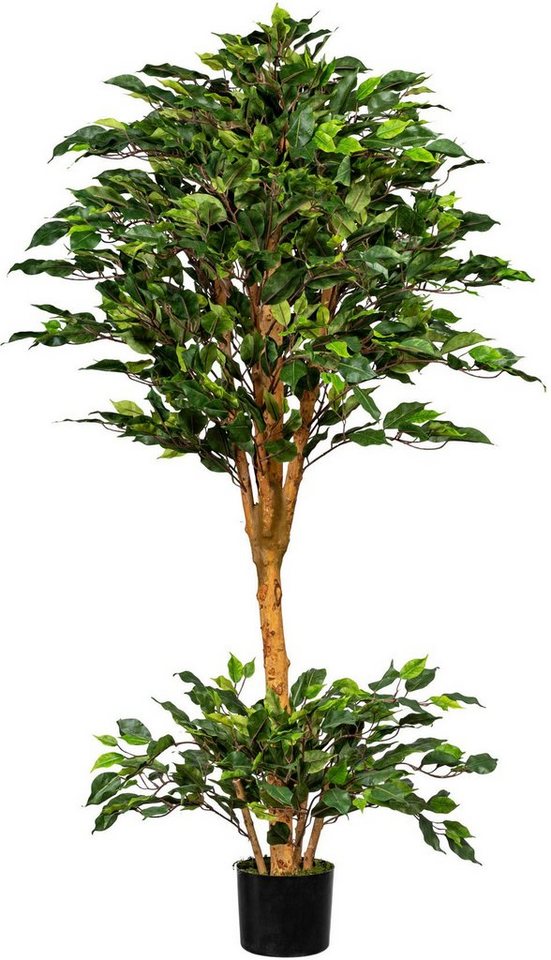 Kunstbaum Ficus Benjamini Ficus Benjamini, Creativ green, Höhe 150 cm von Creativ green