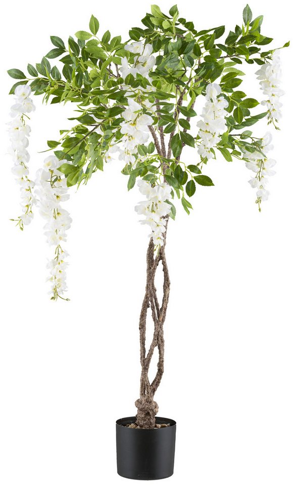 Kunstbaum Weißer Blauregen, Creativ green, Höhe 115 cm, mit geflochtenem Stamm von Creativ green