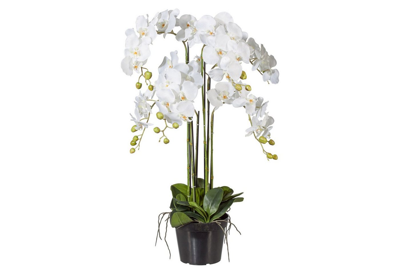 Kunstblume Kunstorchidee Orchidee, Creativ green, Höhe 62 cm von Creativ green