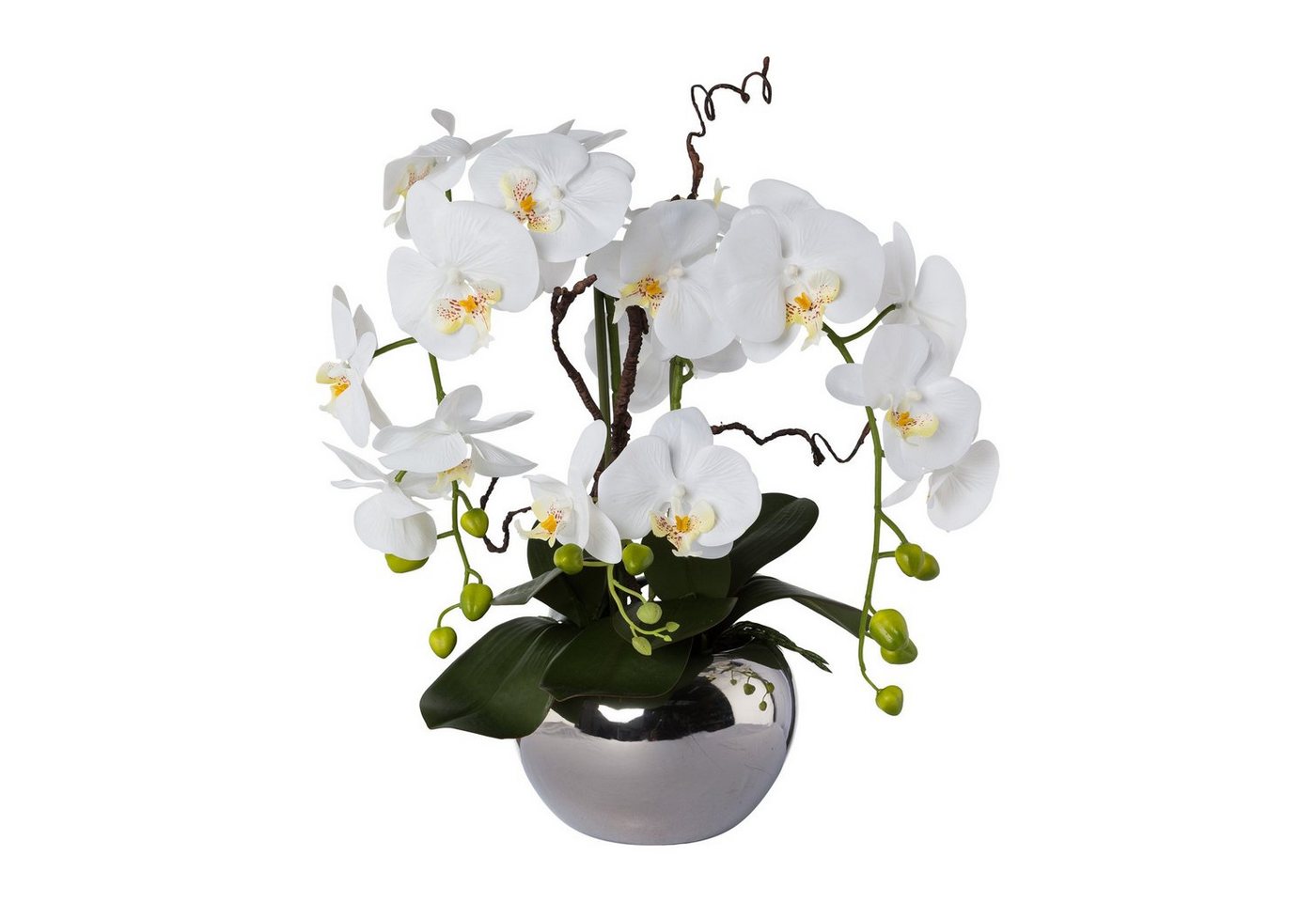 Kunstblume Kunstorchidee Phalaenopsis, Creativ green, Höhe 55 cm, im Keramiktopf, Creativ green von Creativ green