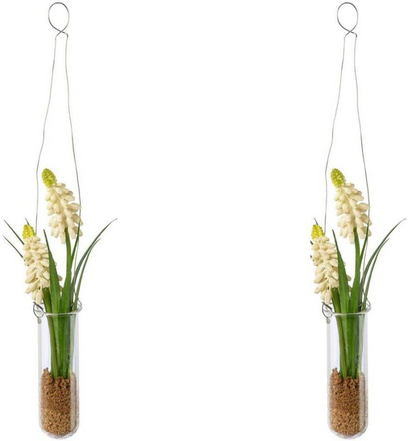 Kunstblume Muscari in Hängevase Muscari, Creativ green, Höhe 35 cm Kunstblume Muscari in Hängevase Muscari, Creativ green, Höhe 35 cm von Creativ green