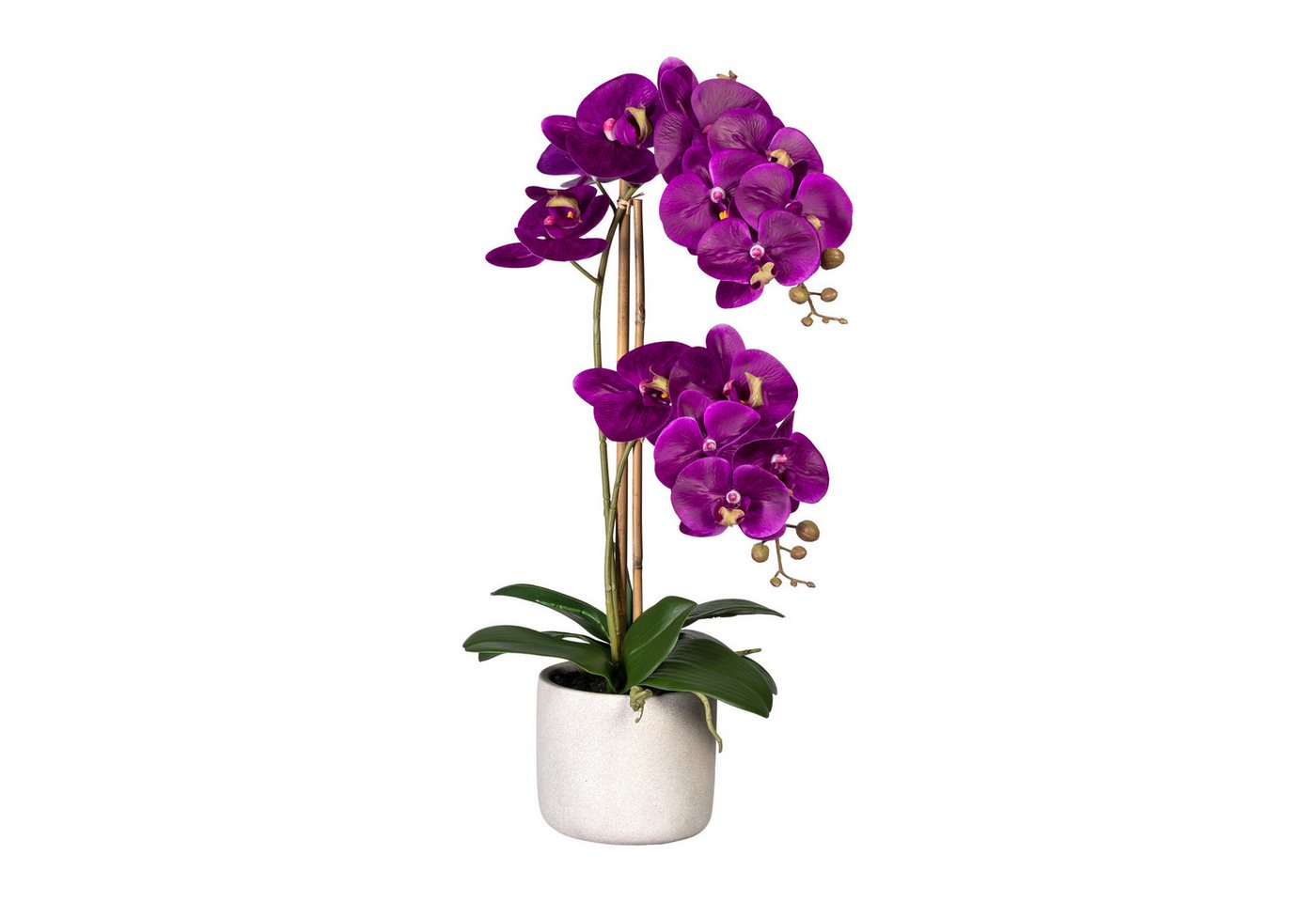 Kunstblume Orchidee, Höhe 60 cm, im Zementopf, Creativ green von Creativ green