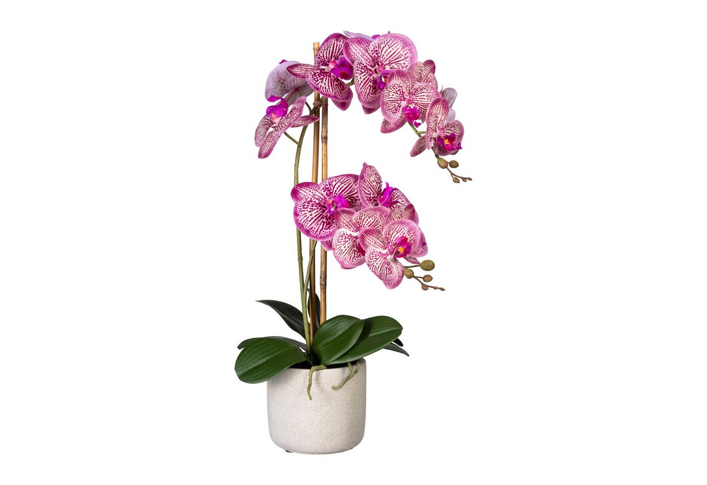 Kunstblume Orchidee, Höhe 60 cm, im Zementopf, Creativ green von Creativ green