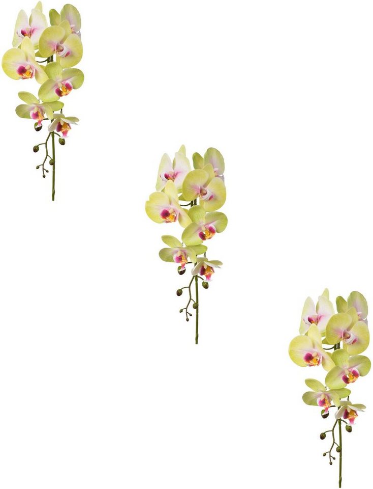 Kunstblume Orchidee Phalaenopsis Orchidee Phalaenopsis, Creativ green, Höhe 86 cm von Creativ green