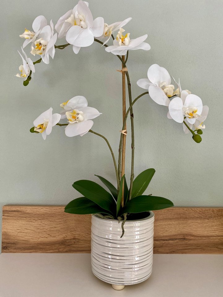 Kunstblume Orchidee Phalaenopsis im Keramiktopf, weiß, 54 cm, Creativ green von Creativ green