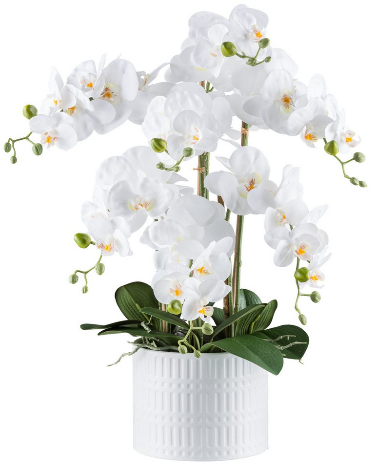 Kunstblume Orchidee mit weissen Blüten im Keramiktopf, weiß, 19,5 x 15cm, 60 cm, Creativ green von Creativ green