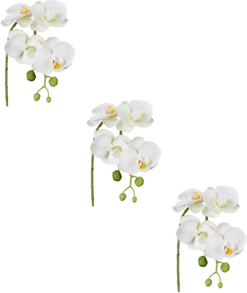 Kunstblume Phalaenopsis 3D-print Orchidee Phalaenopsis, Creativ green, Höhe 42 cm, mit Real-Touch-Blüten von Creativ green
