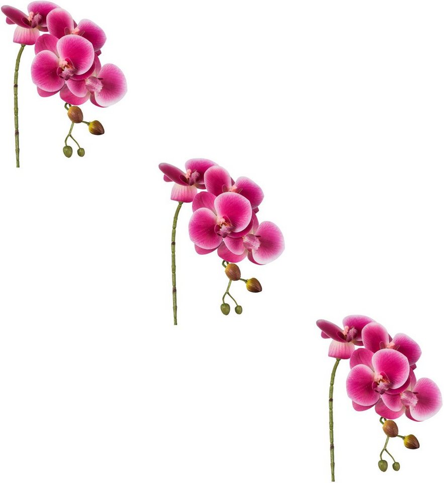Kunstblume Phalaenopsis 3D-print Orchidee Phalaenopsis, Creativ green, Höhe 42 cm, mit Real-Touch-Blüten von Creativ green