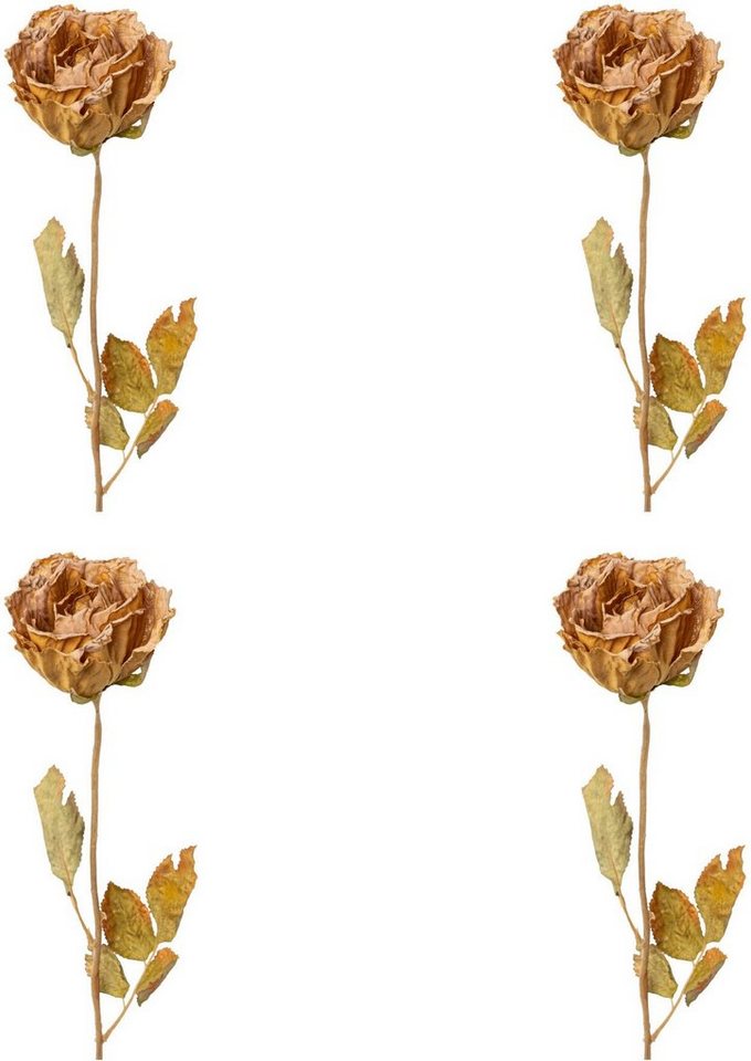 Kunstblume Rose Rose, Creativ green, Höhe 53 cm von Creativ green