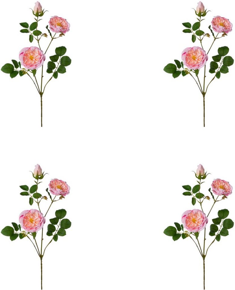 Rosa | Kunstpflanzen und weitere Zimmer- & Kunstpflanzen. Günstig online  kaufen bei Möbel &