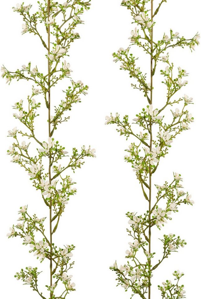 Kunstgirlande Jasmingirlande, Creativ green, 2er Set Kunstgirlande Jasmingirlande, Creativ green, 2er Set von Creativ green