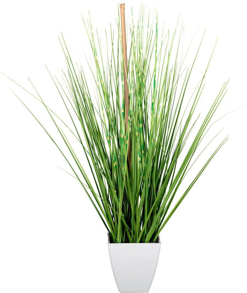 Kunstgras Grasbusch Gras, Creativ green, Höhe 44 cm, im weißen Topf von Creativ green