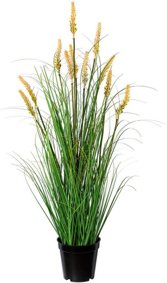 Kunstgras Grasbusch Pennisetum Gras, Creativ green, Höhe 79 cm von Creativ green