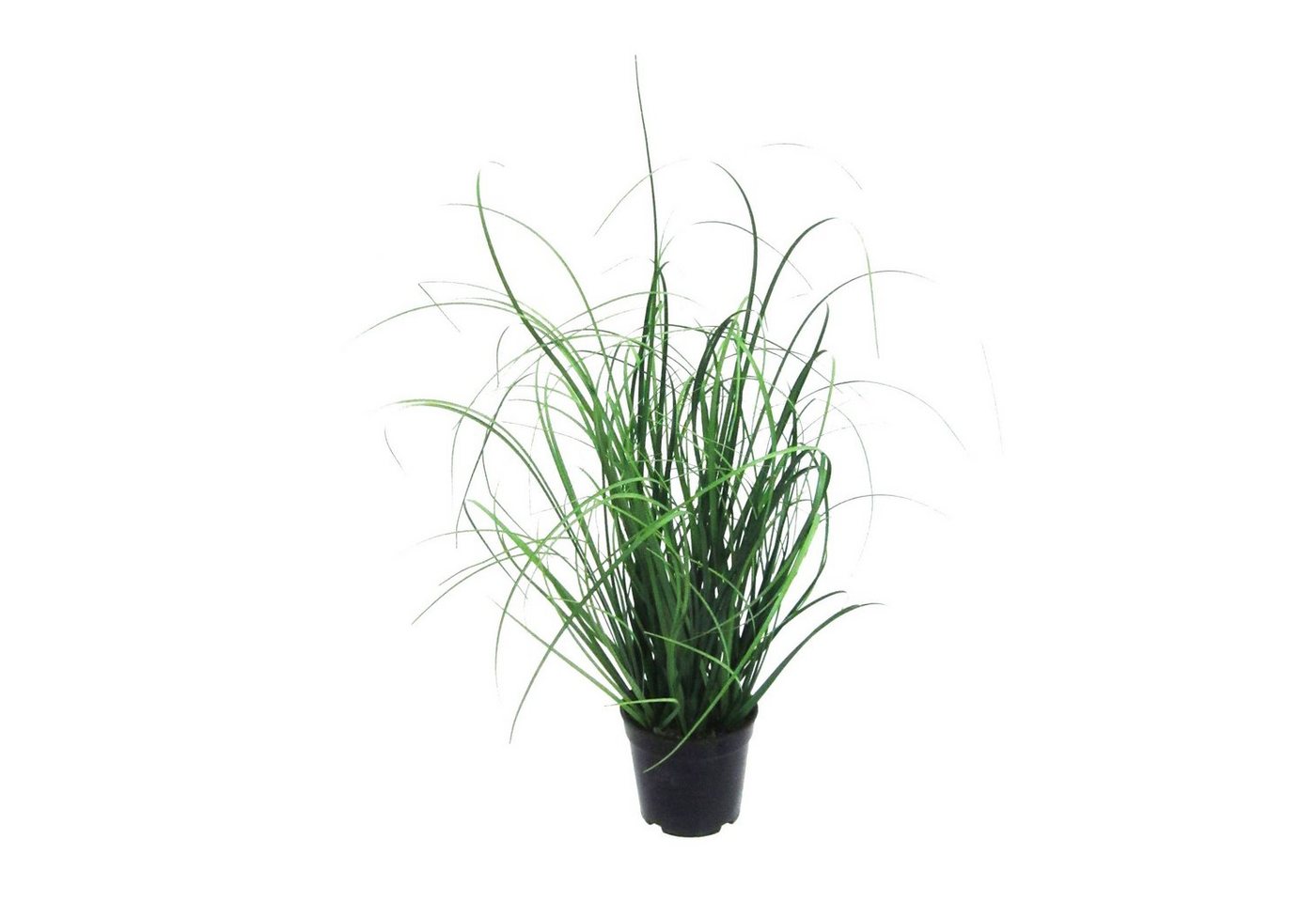 Kunstgras Kunstpflanze Dekogras im schwarzem Kunststofftopf - Grasbusch, Creativ green, Höhe 40 cm von Creativ green