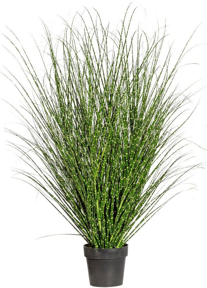 Kunstgras Miscanthus Zebrinus, Creativ green, Höhe 100 cm von Creativ green