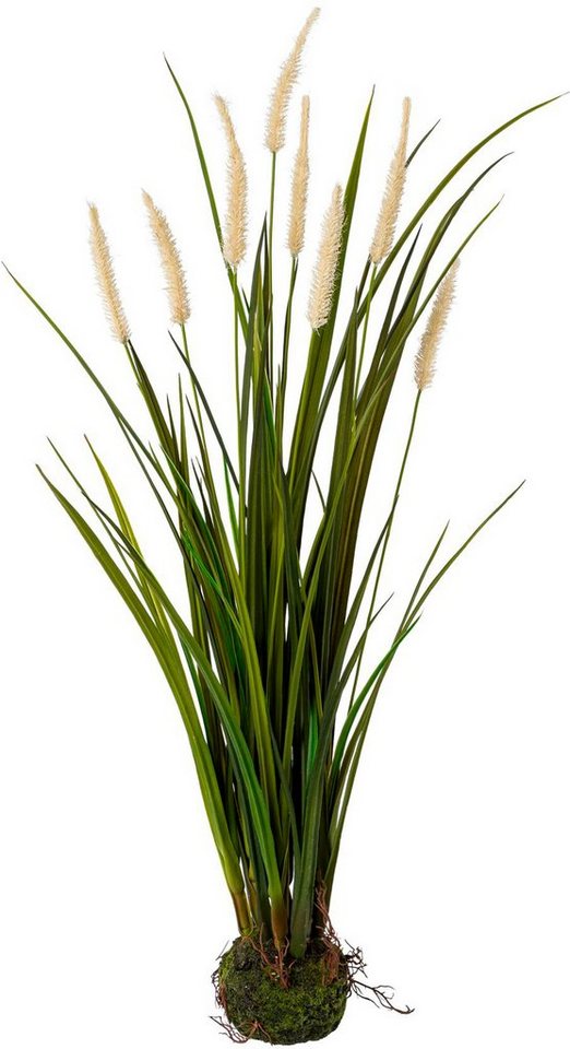 Kunstgras Miscanthus im Erdballen, Creativ green, Höhe 75 cm von Creativ green