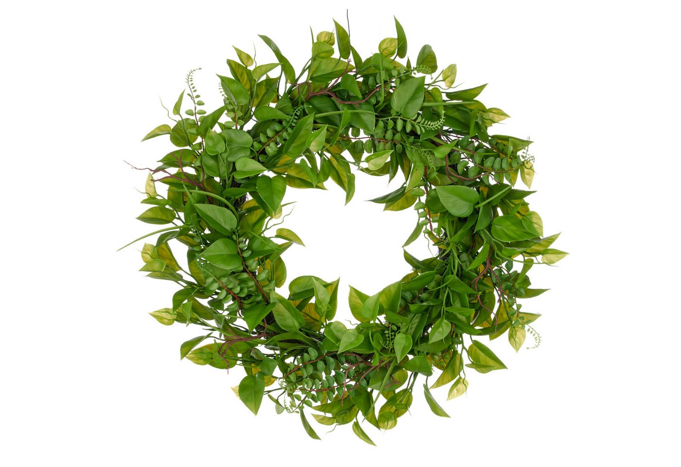 Kunstkranz Kranz mit Blättern, Creativ green, Höhe 8 cm, mit detailgetreuen Blatt- und Farnzweigen Kunstkranz Kranz mit Blättern, Creativ green, Höhe 8 cm, mit detailgetreuen Blatt- und Farnzweigen von Creativ green