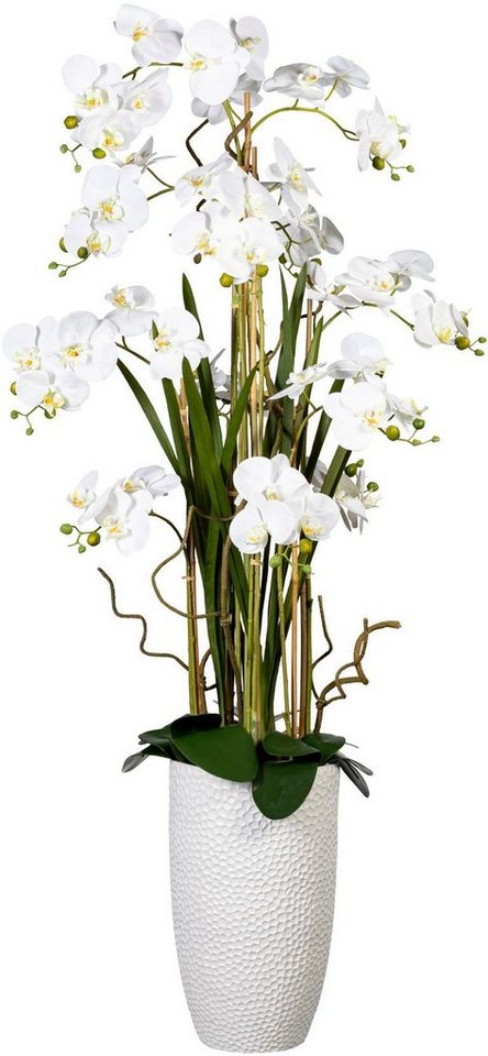 Kunstorchidee Deko-Orchidee Phalaenopsis XXL im Keramiktopf Orchideearrangement, Creativ green, Höhe 160 cm Kunstorchidee Deko-Orchidee Phalaenopsis XXL im Keramiktopf Orchideearrangement, Creativ green, Höhe 160 cm von Creativ green