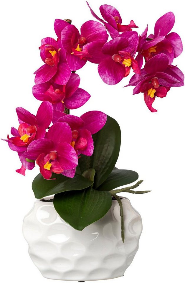 Kunstorchidee Deko-Orchidee Phalaenopsis im Keramiktopf Orchidee Phalenopsis, Creativ green, Höhe 33 cm von Creativ green