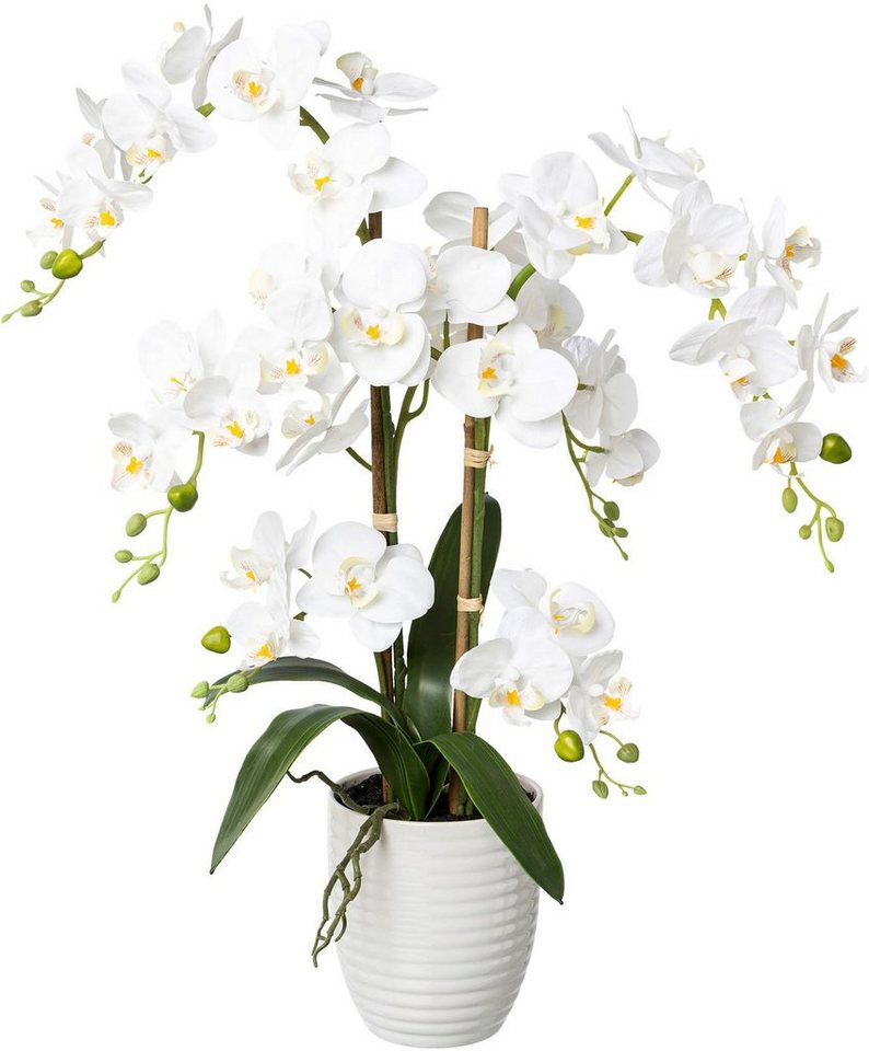 Kunstorchidee Deko-Orchidee Phalaenopsis im Keramiktopf Orchidee Phalenopsis, Creativ green, Höhe 67 cm von Creativ green
