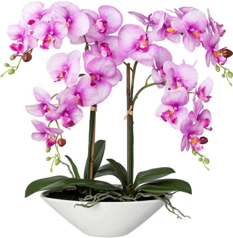 Kunstorchidee Deko-Orchidee Phalaenopsis in Keramikschale Orchidee Phalenopsis, Creativ green, Höhe 53 cm von Creativ green