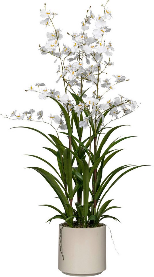 Kunstorchidee Orchidee Oncydie, Creativ green, Höhe 98 cm, im eleganten Topf Kunstorchidee Orchidee Oncydie, Creativ green, Höhe 98 cm, im eleganten Topf von Creativ green