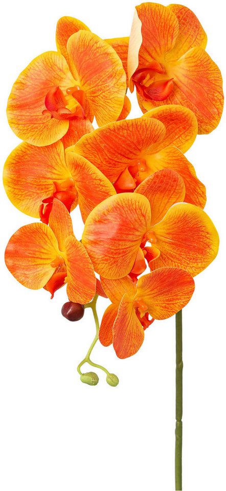 Kunstorchidee Orchidee Phalaenopsis Orchidee, Creativ green, Höhe 76 cm, mit real-touch-Blüten von Creativ green