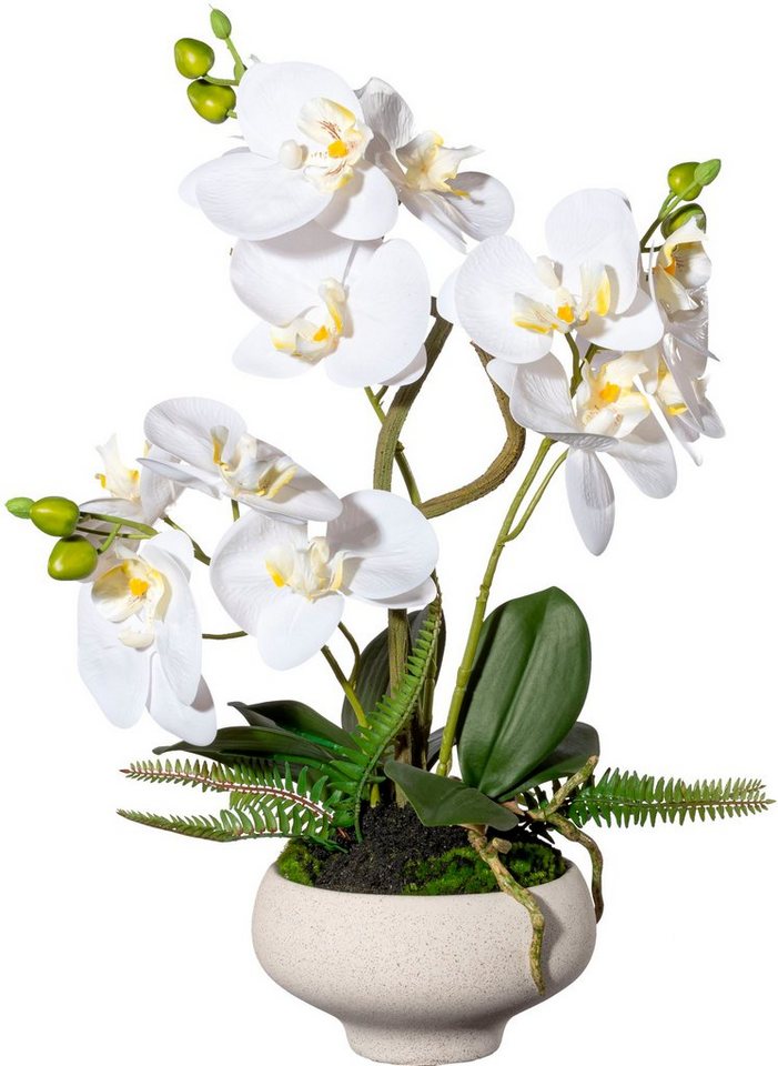Kunstorchidee Orchidee Phalaenopsis im Keramiktopf, Creativ green, Höhe 50 cm von Creativ green