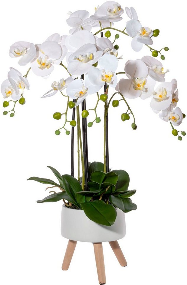 Kunstorchidee Orchidee Phalaenopsis in Keramikschale Orchidee Phalaenopsis, Creativ green, Höhe 75 cm, mit Real-Touch-Blüten und auf Füßen von Creativ green