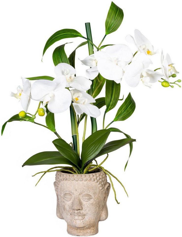 Kunstorchidee Orchideen-Bambus-Arrangement im Buddhakopf Orchidee, Creativ green, Höhe 60 cm von Creativ green