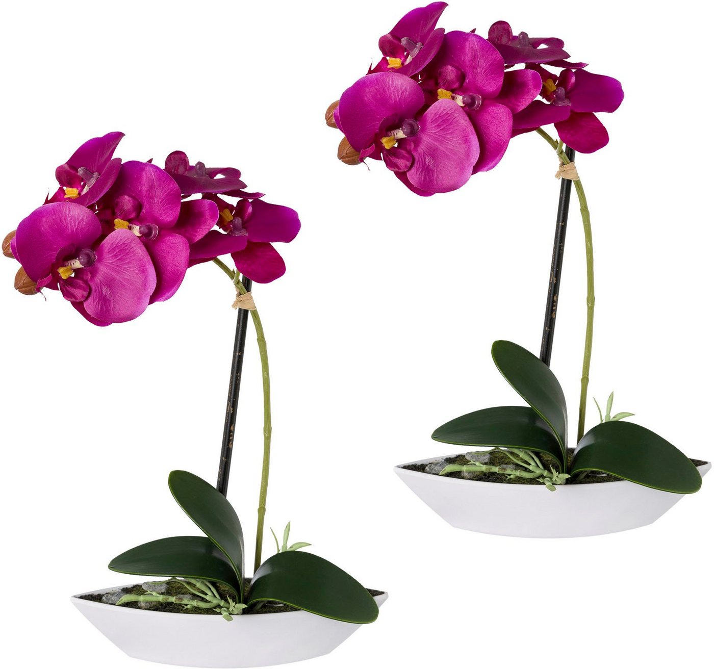 Kunstorchidee Phalaenopsis, Creativ green, Höhe 30 cm, 2er Set, in Kunststoffschale von Creativ green