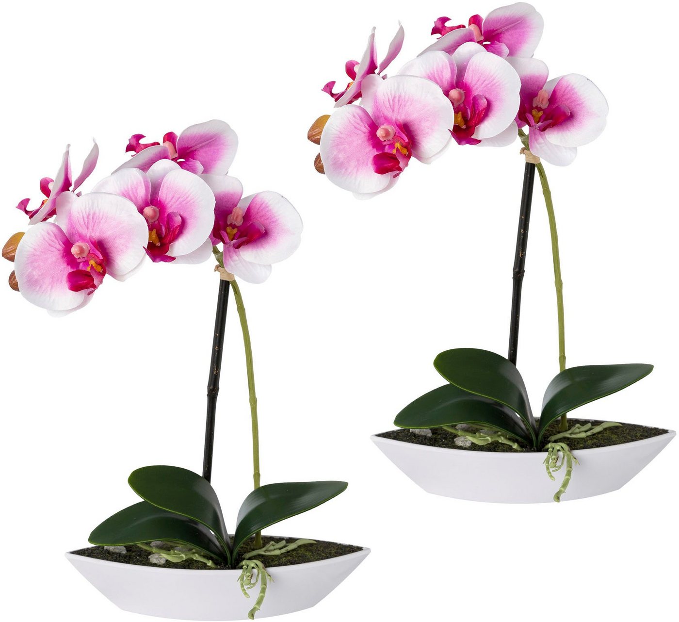 Kunstorchidee Phalaenopsis, Creativ green, Höhe 30 cm, 2er Set, in Kunststoffschale von Creativ green