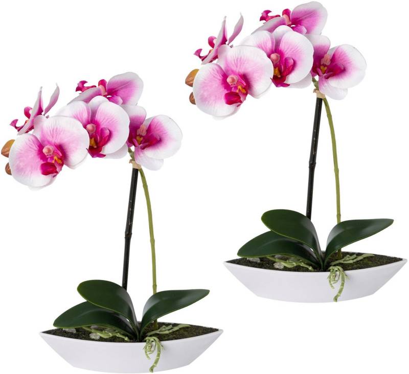 Kunstorchidee Phalaenopsis, Creativ green, Höhe 30 cm, 2er Set, in Kunststoffschale von Creativ green