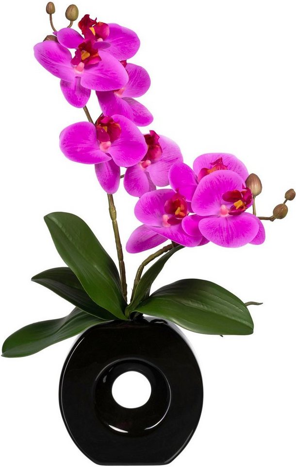 Kunstorchidee Phalaenopsis Orchidee Phalaenopsis, Creativ green, Höhe 35 cm, in Keramikvase von Creativ green