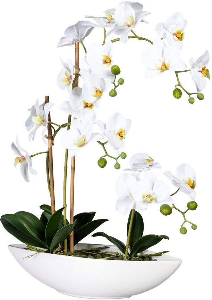 Kunstorchidee Phalaenopsis Orchidee Phalaenopsis, Creativ green, Höhe 60 cm, im Keramikschiff von Creativ green