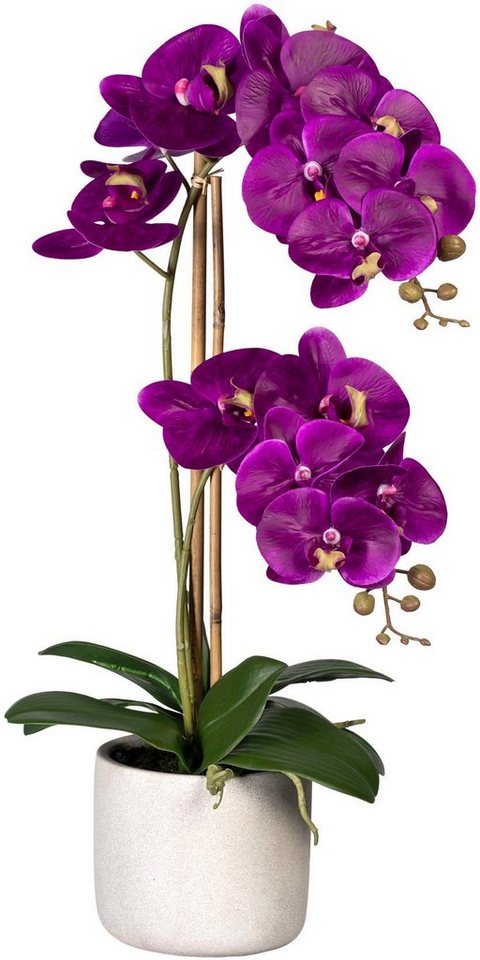 Kunstorchidee Phalaenopsis Orchidee Phalaenopsis, Creativ green, Höhe 60 cm, im Zementtopf von Creativ green