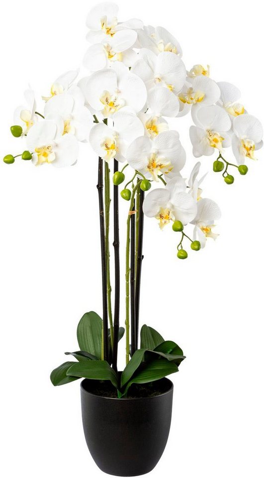 Kunstorchidee Phalaenopsis im Resintopf Orchidee Phalaenopsis, Creativ green, Höhe 83 cm, mit Real-Touch-Blüten von Creativ green