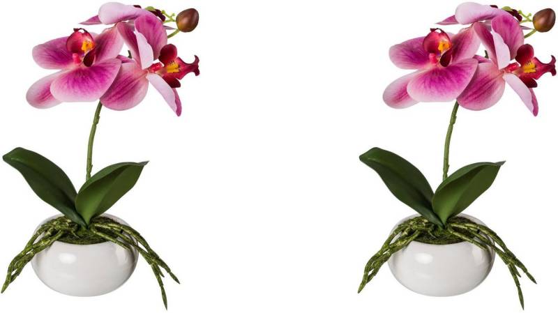 Kunstorchidee Phalaenopsis in Keramikschale Orchidee Phalaenopsis, Creativ green, Höhe 27 cm, mit Real-Touch-Blüten von Creativ green
