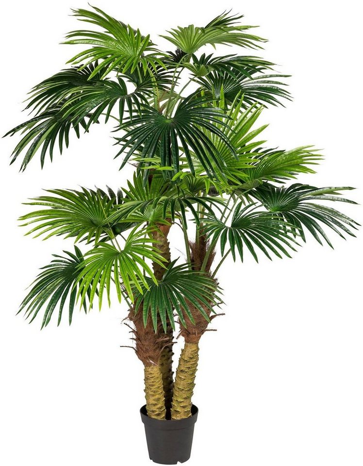 Kunstpalme Fächerpalme Palme, Creativ green, Höhe 185 cm von Creativ green