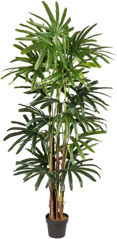 Kunstpalme Raphispalme Palme, Creativ green, Höhe 200 cm von Creativ green