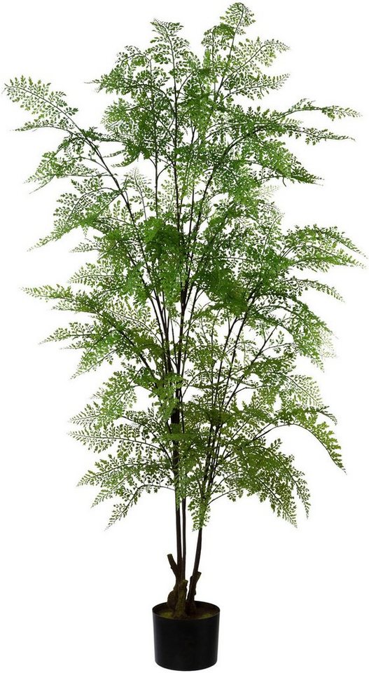 Kunstpflanze Adianthum, Creativ green, Höhe 127 cm, im Kunststofftopf von Creativ green