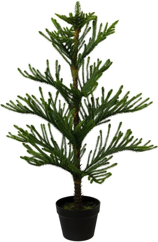 Kunstpflanze Araucarienbaum, Creativ green, Höhe 98 cm, im Kunststofftopf von Creativ green