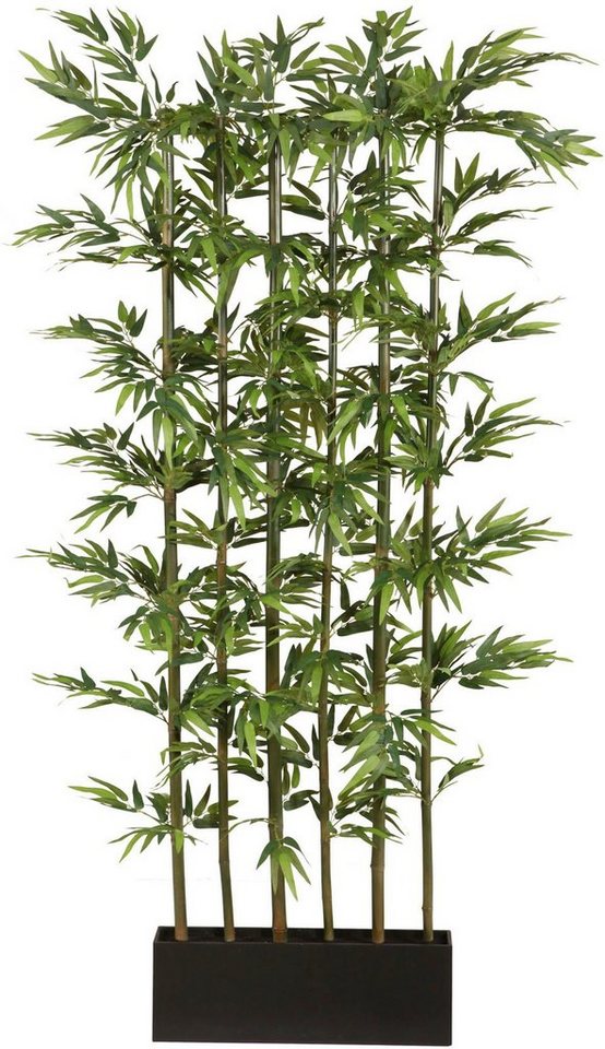 Kunstpflanze Bambus, Creativ green, Höhe 195 cm von Creativ green