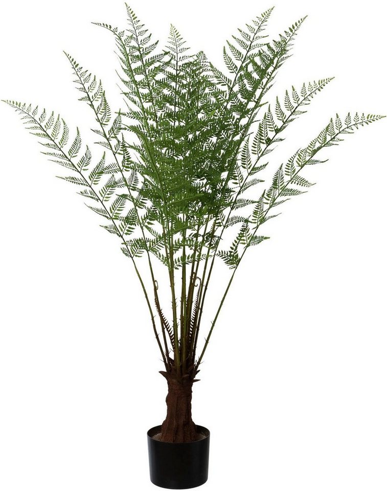 Kunstpflanze Baumfarn, Creativ green, Höhe 108 cm, im Kunststofftopf von Creativ green