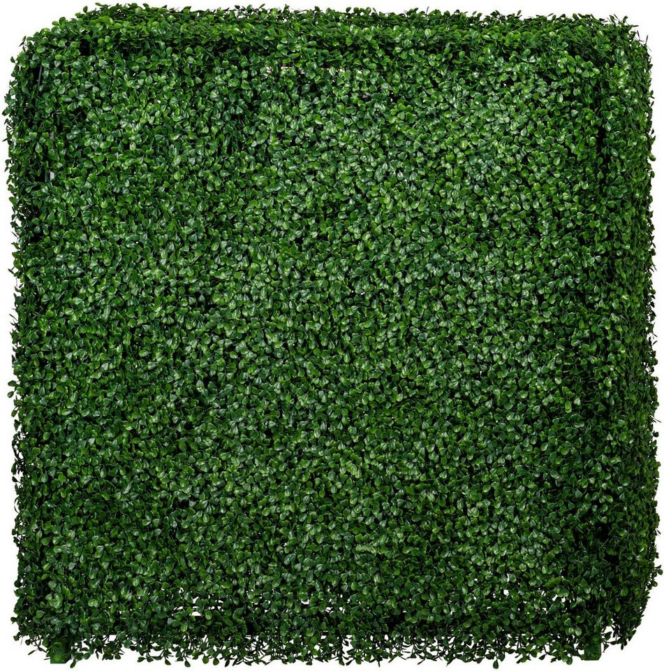 Kunstpflanze Buchsbaumhecke Buchsbaum, Creativ green, Höhe 75 cm von Creativ green